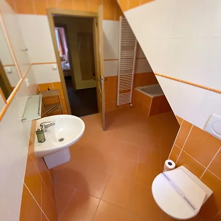 Horsky Snezenka Hyncice pod Susinou